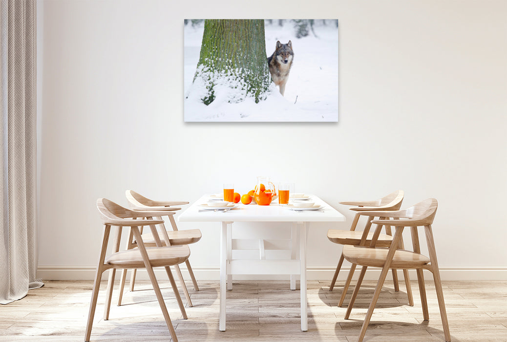 Premium textile canvas Premium textile canvas 120 cm x 80 cm landscape Wolf in winter 