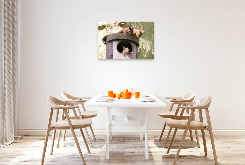 Premium textile canvas Premium textile canvas 90 cm x 60 cm landscape Playing young squirrels 