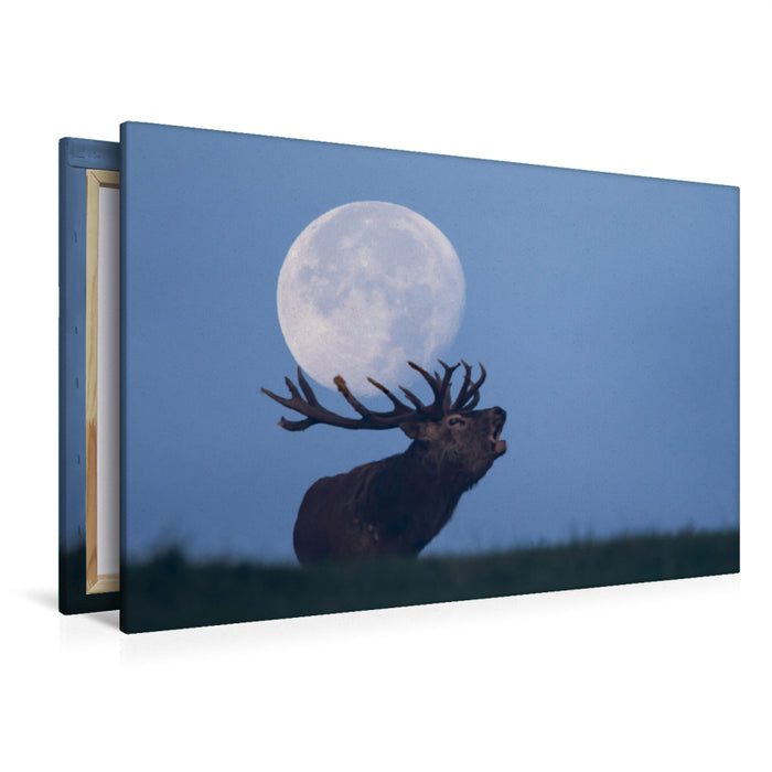 Premium textile canvas Premium textile canvas 120 cm x 80 cm landscape Roaring deer 