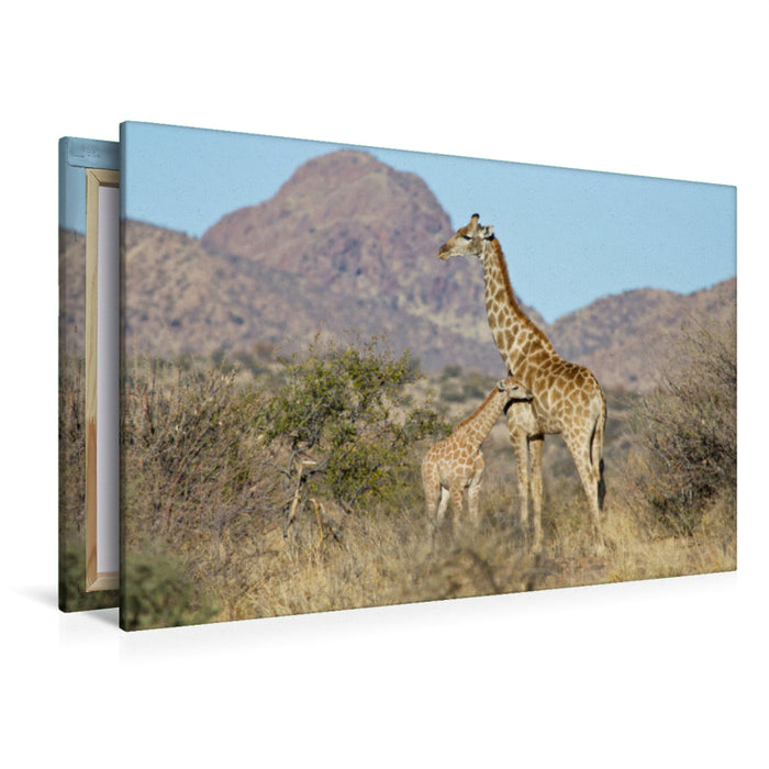 Premium Textil-Leinwand Premium Textil-Leinwand 120 cm x 80 cm quer Giraffe mit Jungtier