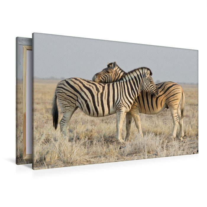 Premium textile canvas Premium textile canvas 120 cm x 80 cm landscape zebras 