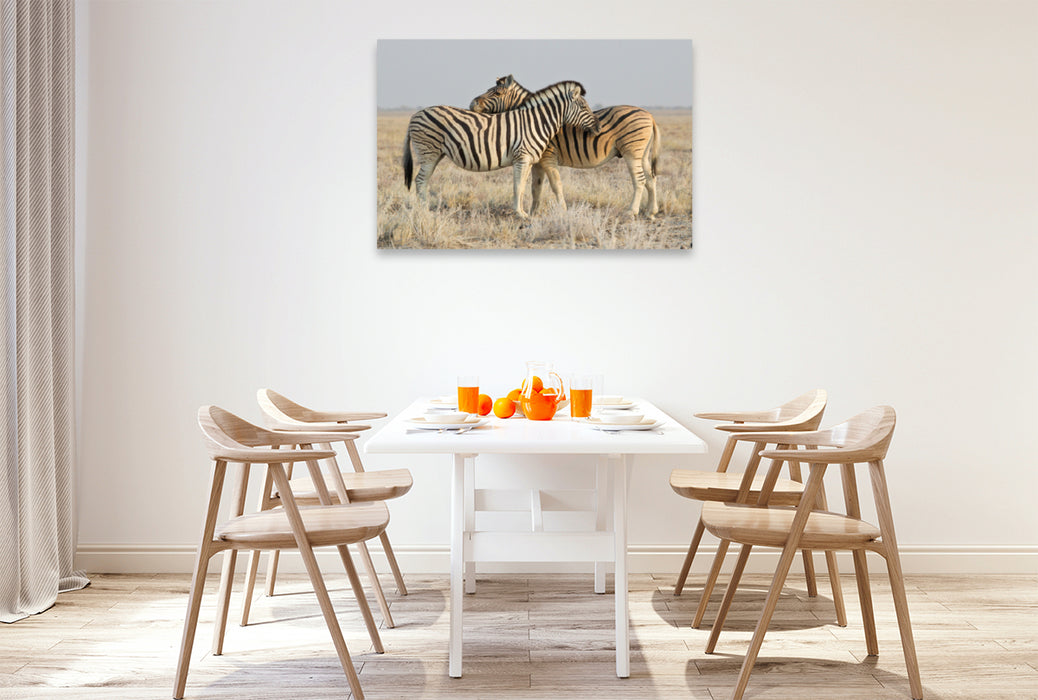 Premium textile canvas Premium textile canvas 120 cm x 80 cm landscape zebras 