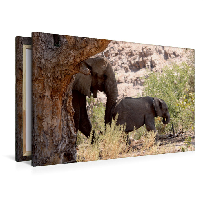 Premium Textil-Leinwand Premium Textil-Leinwand 120 cm x 80 cm quer Elefant mit Baby unterwegs.  Jumbo - Auf den Spuren der Elefanten in Namibia
