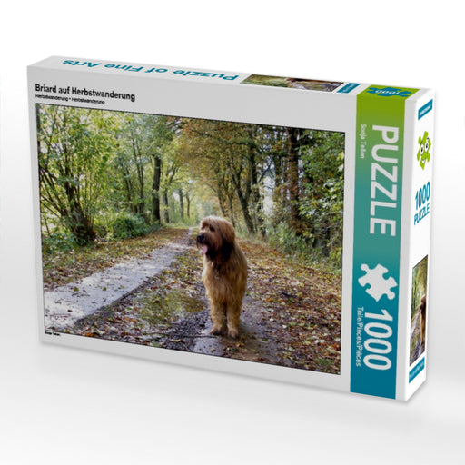 Briard auf Herbstwanderung - CALVENDO Foto-Puzzle - calvendoverlag 32.99