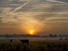 Morgennebel in Schleswig-Holstein - CALVENDO Foto-Puzzle - calvendoverlag 34.99