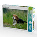 Beagle Welpe im Gras - CALVENDO Foto-Puzzle - calvendoverlag 34.99