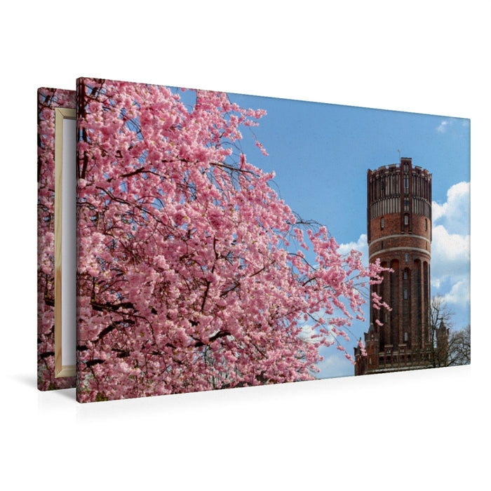 Premium Textil-Leinwand Premium Textil-Leinwand 120 cm x 80 cm quer Japanische Kirschblüte mit Blick auf den Wasserturm Lüneburg