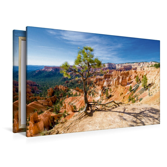 Premium Textil-Leinwand Premium Textil-Leinwand 120 cm x 80 cm quer Bryce Canyon NP