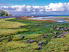 Ballyvaughan - Galway Bay - CALVENDO Foto-Puzzle - calvendoverlag 29.99