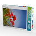 Roter Klatschmohn - CALVENDO Foto-Puzzle - calvendoverlag 29.99