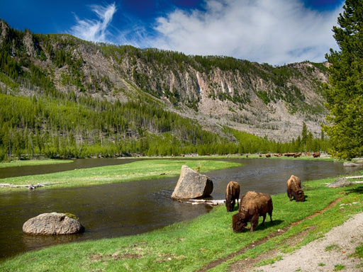 Yellowstone River - CALVENDO Foto-Puzzle - calvendoverlag 29.99