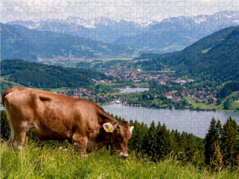 Oberallgäuer Landschaft - CALVENDO Foto-Puzzle - calvendoverlag 29.99