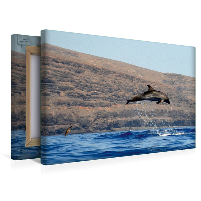 Premium Textil-Leinwand Premium Textil-Leinwand 45 cm x 30 cm quer Delfin vor La Gomera