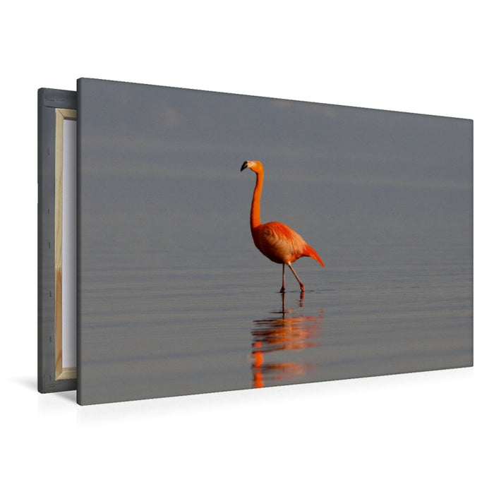 Premium Textil-Leinwand Premium Textil-Leinwand 120 cm x 80 cm quer Flamingo am Chiemsee