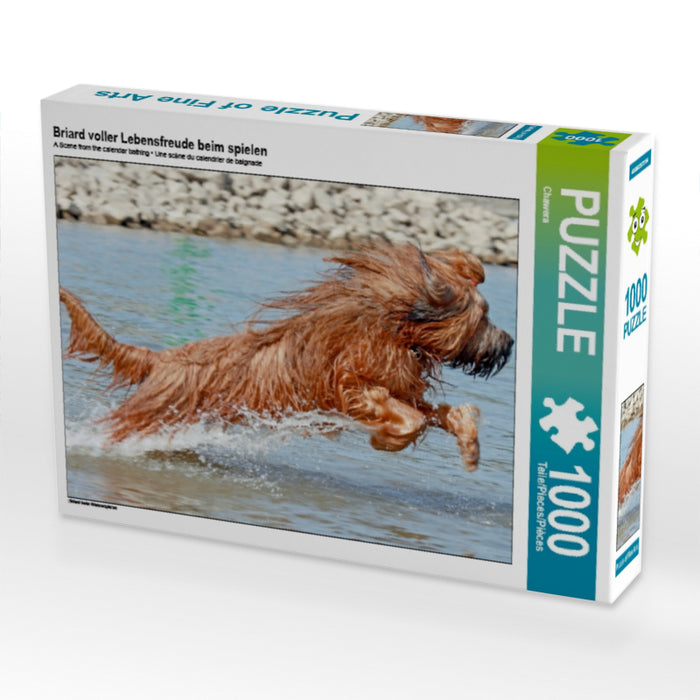 Briard voller Lebensfreude beim spielen - CALVENDO Foto-Puzzle - calvendoverlag 29.99