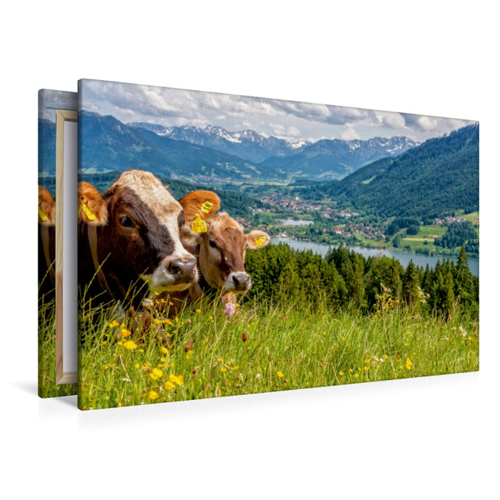 Premium Textil-Leinwand Premium Textil-Leinwand 120 cm x 80 cm quer Sicht auf den Alpsee in Immenstadt