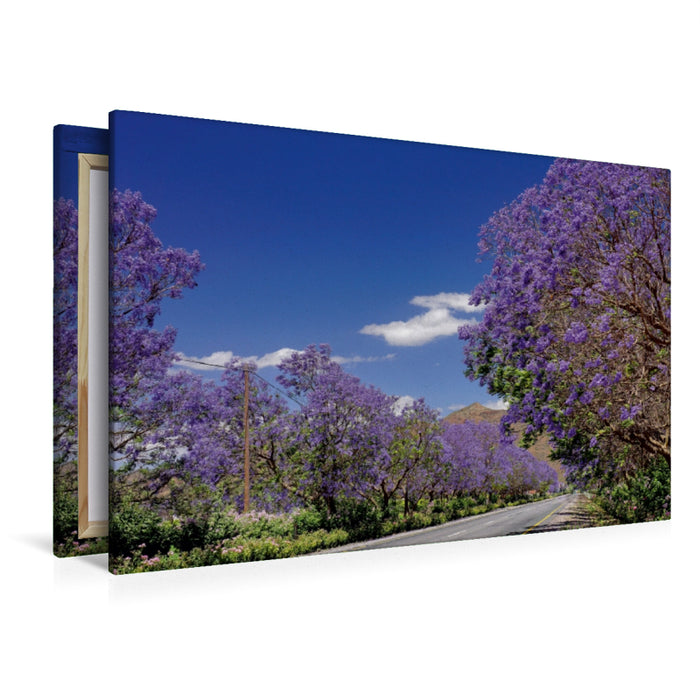 Toile textile premium Toile textile premium 120 cm x 80 cm paysage Avenues de jacaranda en fleurs - Bonnievale, Afrique du Sud 