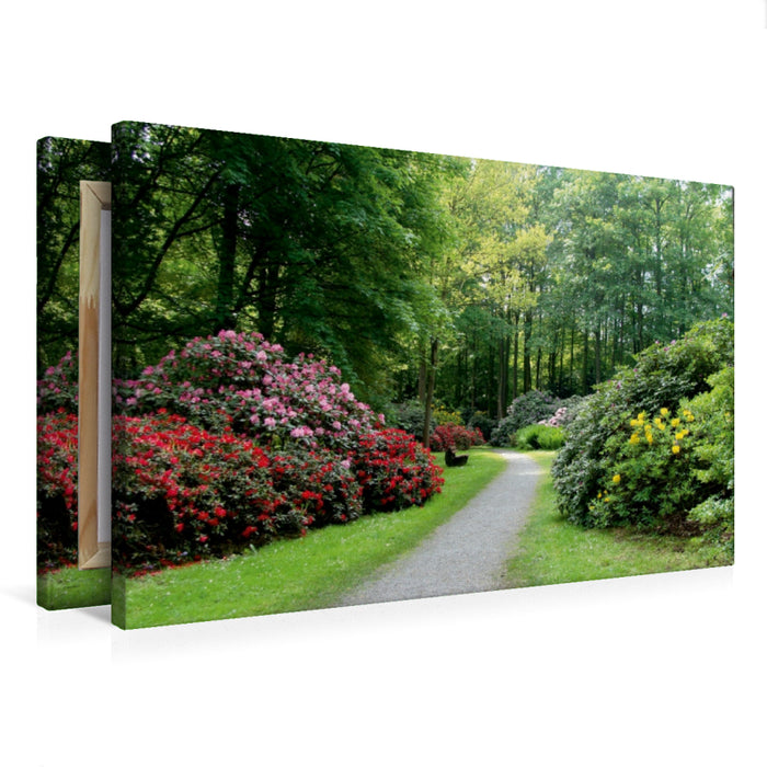 Premium Textil-Leinwand Premium Textil-Leinwand 75 cm x 50 cm quer Rhododendronwald in Bad Sassendorf