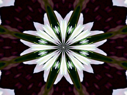 Blume des Lebens - CALVENDO Foto-Puzzle - calvendoverlag 29.99