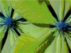 Farbenblüte - CALVENDO Foto-Puzzle - calvendoverlag 29.99