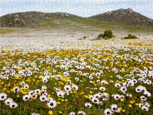 Blumenwiese im Westcoast Nationalpark - CALVENDO Foto-Puzzle - calvendoverlag 29.99