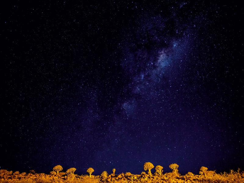 Köcherbaumwald bei Nacht - CALVENDO Foto-Puzzle - calvendoverlag 29.99