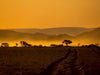 Abendstimmung in der Namib - CALVENDO Foto-Puzzle - calvendoverlag 29.99