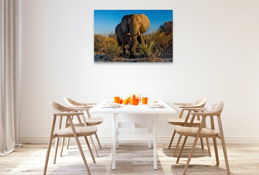 Premium Textil-Leinwand Premium Textil-Leinwand 120 cm x 80 cm quer Elefant in Etosha