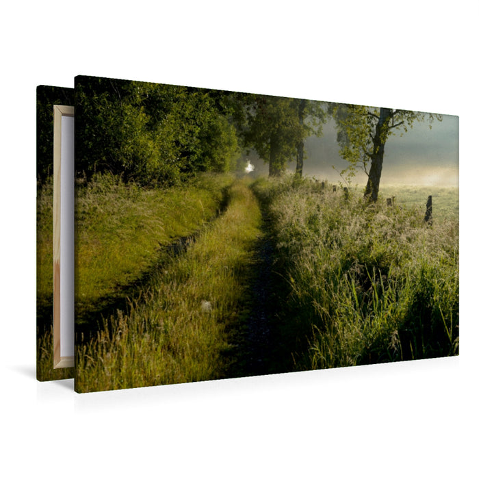 Toile textile haut de gamme Toile textile haut de gamme 120 cm x 80 cm à travers le chemin des champs au petit matin 