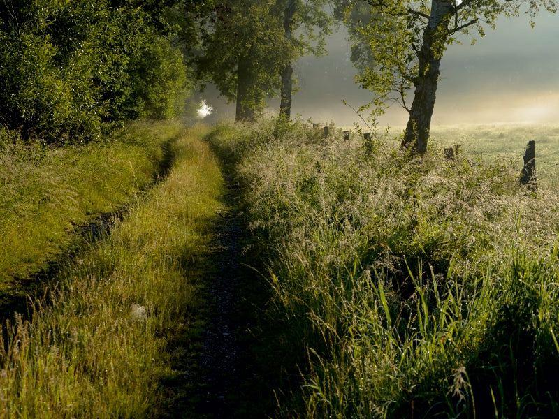 Feldweg am frühen Morgen - CALVENDO Foto-Puzzle - calvendoverlag 29.99