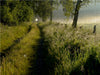 Feldweg am frühen Morgen - CALVENDO Foto-Puzzle - calvendoverlag 29.99
