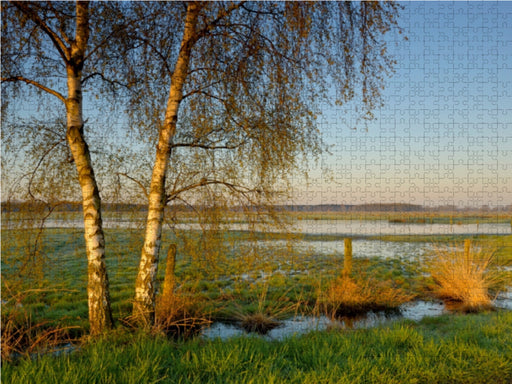 Feuchtwiese bei Sonnenaufgang - CALVENDO Foto-Puzzle - calvendoverlag 29.99