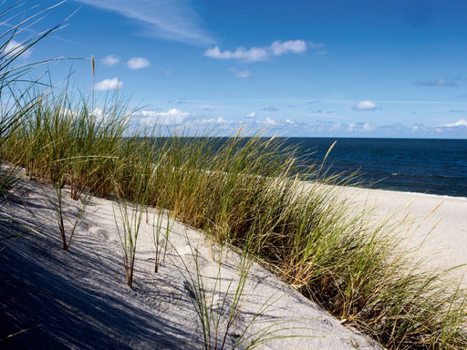 SYLT Strandansicht - CALVENDO Foto-Puzzle - calvendoverlag 29.99