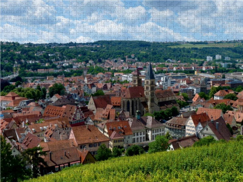 Blick auf Esslingen am Neckar - CALVENDO Foto-Puzzle - calvendoverlag 29.99