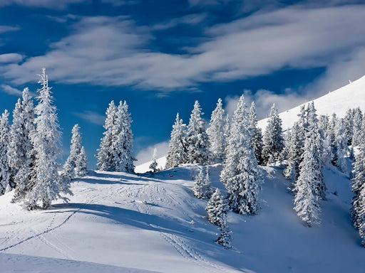 Dobratsch im Winter - CALVENDO Foto-Puzzle - calvendoverlag 29.99