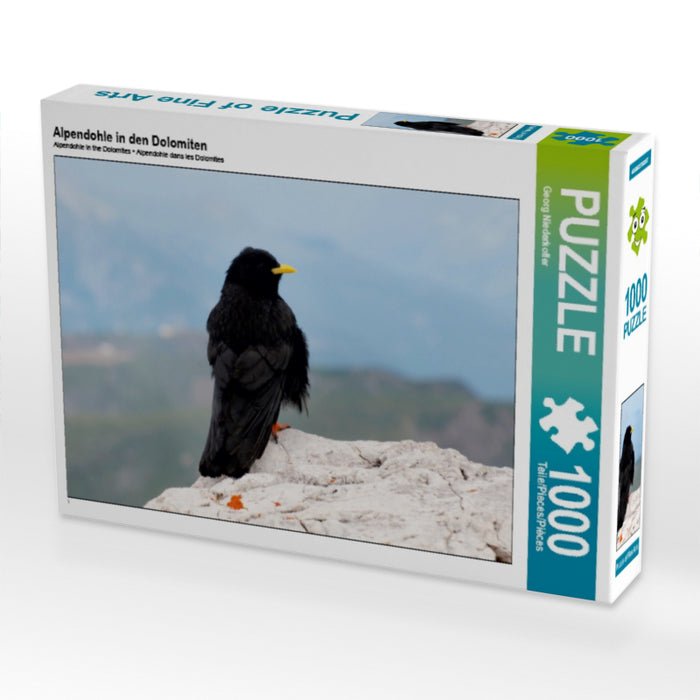 Alpendohle in den Dolomiten - CALVENDO Foto-Puzzle - calvendoverlag 29.99