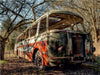 Rostlaube - alter Bus - CALVENDO Foto-Puzzle - calvendoverlag 29.99
