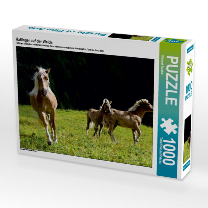 Haflinger auf der Weide - CALVENDO Foto-Puzzle - calvendoverlag 29.99