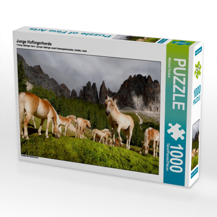 Junge Haflingerherde - CALVENDO Foto-Puzzle - calvendoverlag 29.99