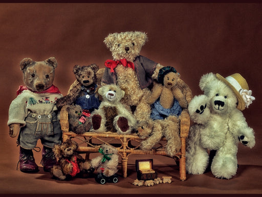 Die Teddys sind los - CALVENDO Foto-Puzzle - calvendoverlag 29.99