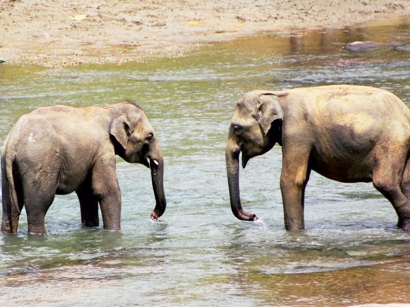 Ratnapura - CALVENDO Foto-Puzzle - calvendoverlag 29.99