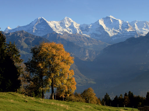 Beatenberg, Berner Oberland, Schweiz - CALVENDO Foto-Puzzle - calvendoverlag 29.99