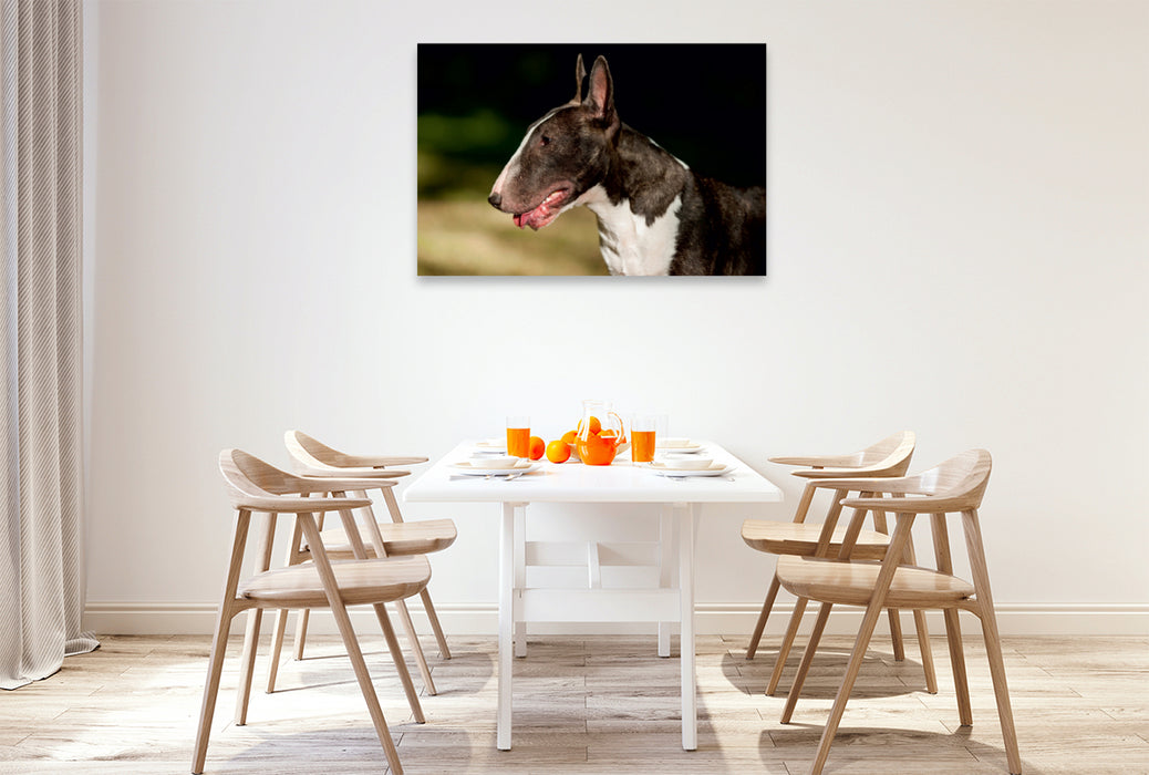 Premium Textil-Leinwand Premium Textil-Leinwand 120 cm x 80 cm quer Ein Motiv aus dem Kalender Bullterrier