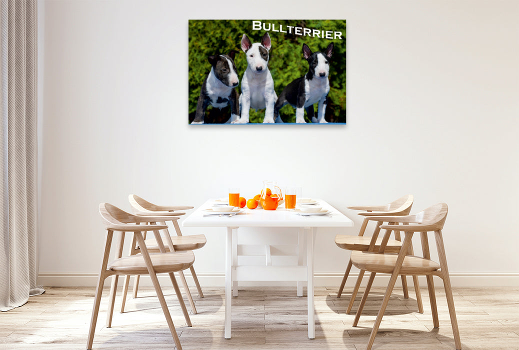 Premium Textil-Leinwand Premium Textil-Leinwand 120 cm x 80 cm quer Ein Motiv aus dem Kalender Bullterrier