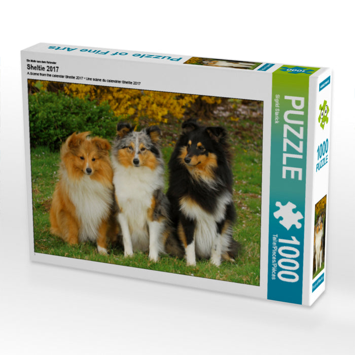 Sheltie 2017 - CALVENDO Foto-Puzzle - calvendoverlag 29.99