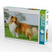 Sheltie 2017 - CALVENDO Foto-Puzzle - calvendoverlag 29.99