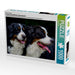 Treuer Freund Berner Sennenhund - CALVENDO Foto-Puzzle - calvendoverlag 29.99