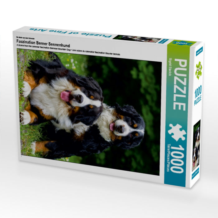 Faszination Berner Sennenhund - CALVENDO Foto-Puzzle - calvendoverlag 29.99