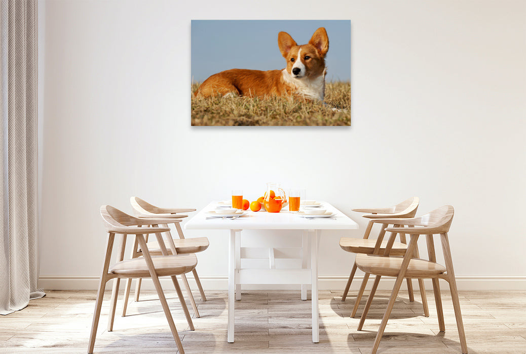 Premium Textil-Leinwand Premium Textil-Leinwand 120 cm x 80 cm quer Ein Motiv aus dem Kalender Welsh Corgi - Kobold auf 4 Pfoten