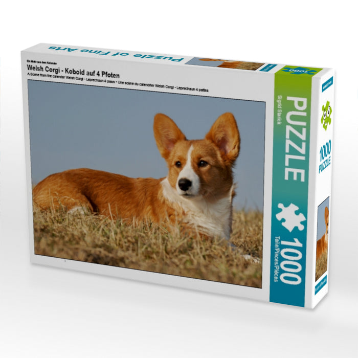 Welsh Corgi - Kobold auf 4 Pfoten - CALVENDO Foto-Puzzle - calvendoverlag 29.99